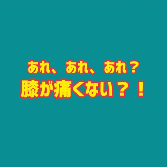 246888561_1554441994909539_7259297070809610153_n